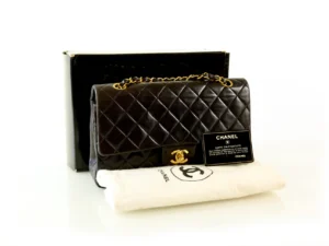 Chanel Double Flap Medium